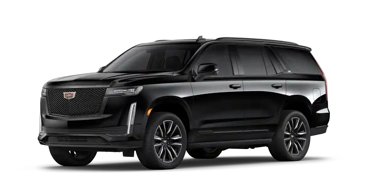 Business chauffeur opening luxury car door